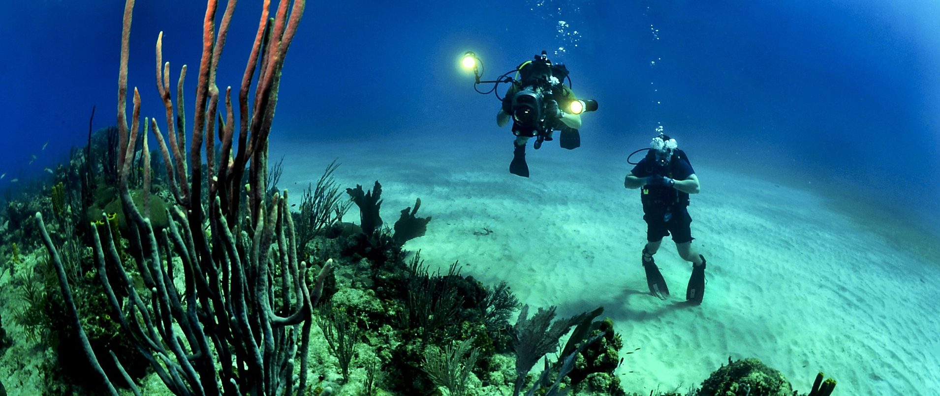 SCUBA Diving and Conservation Course in the Philippines