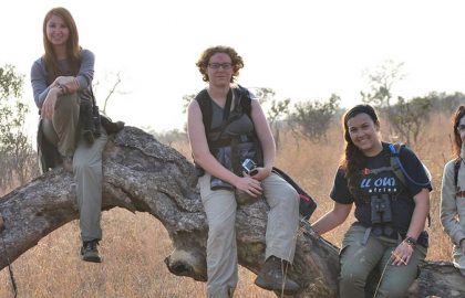 savannah-conservation