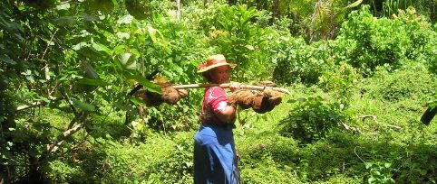 Healthcare-volunteer-in-fiji
