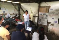 Public Health Internship in Ecuador