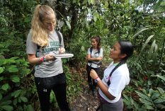 Traditional Medicine Internship Ecuador