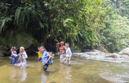 Traditional Medicine Internship Ecuador